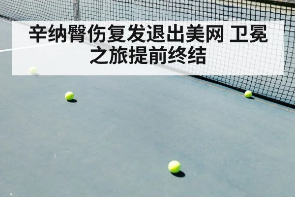 辛纳臀伤复发退出美网 卫冕之旅提前终结